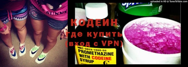 индика Елабуга