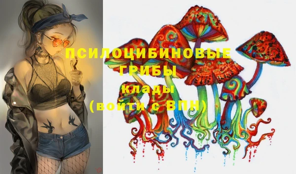 первитин Дмитровск