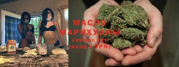 амф Ельня