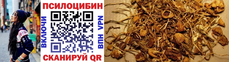 Галлюциногенные грибы Cubensis  Купить  Качканар 